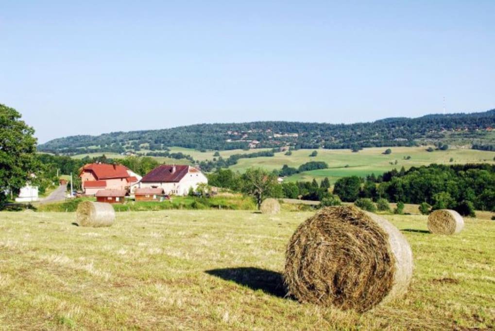 La Maison D'Elodie Foncine-le-Haut Kültér fotó